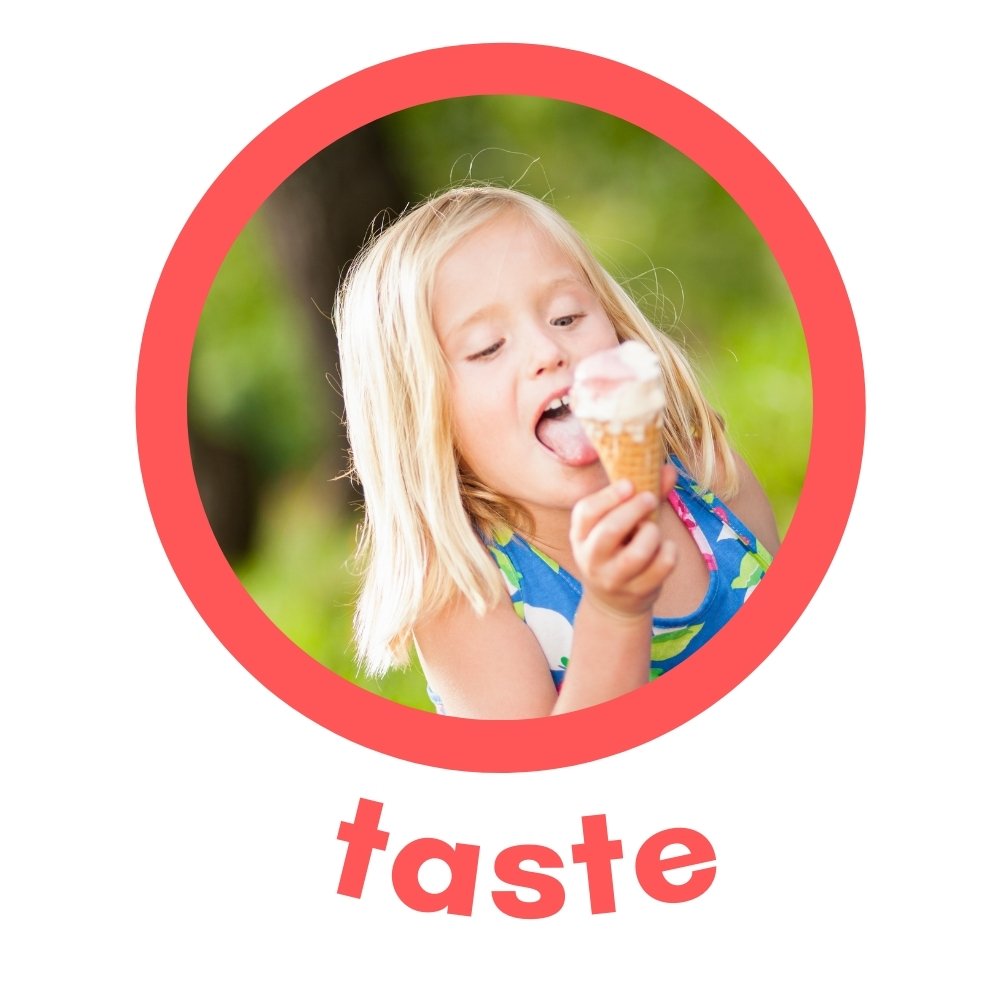 The Gustatory System (aka Taste)