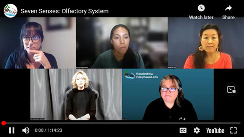 The Olfactory System (Smell)
